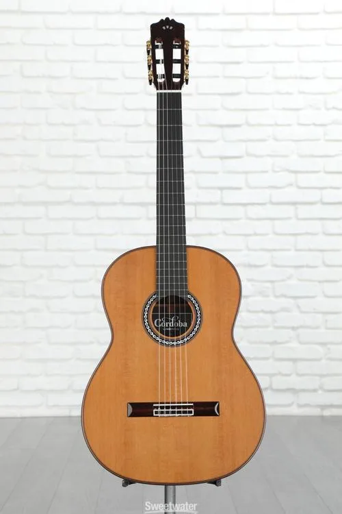  Cordoba C10 C Nylon String Acoustic Guitar - Cedar