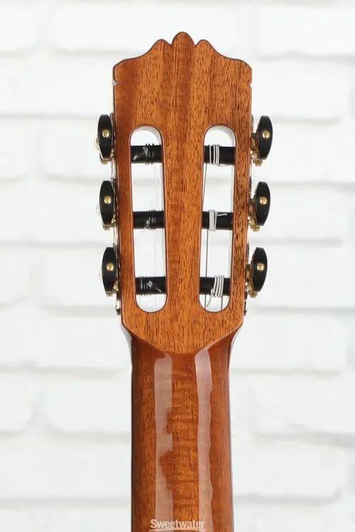  Cordoba C10 C Nylon String Acoustic Guitar - Cedar