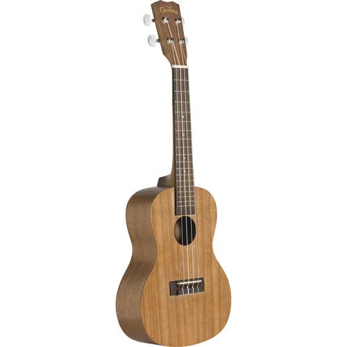  Cordoba UP100 Protege Series Concert Ukulele Pack with Gig Bag, Picks & Tuner (Matte Finish)