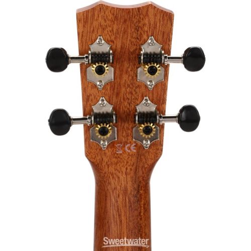  Cordoba 25T-CE Tenor Ukulele - Acacia