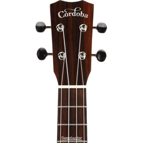  Cordoba 25T-CE Tenor Ukulele - Acacia