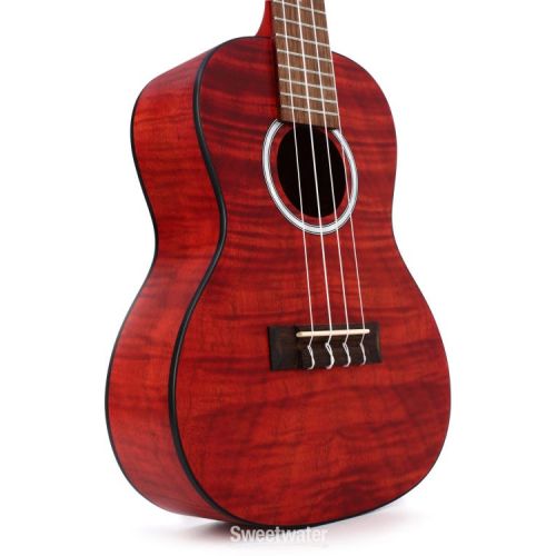  Cordoba 15CFM Concert Ukulele - Rose Red