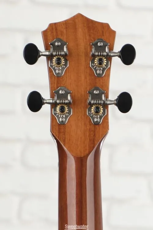  Cordoba 30T Tenor Ukulele - Mahogany Demo