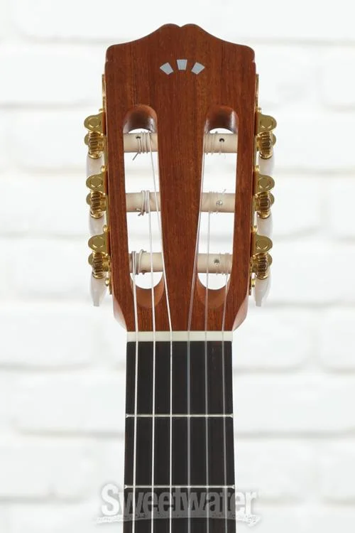  Cordoba Protege C1M-CE Acoustic Guitar - Natural with Cutaway and Electronics