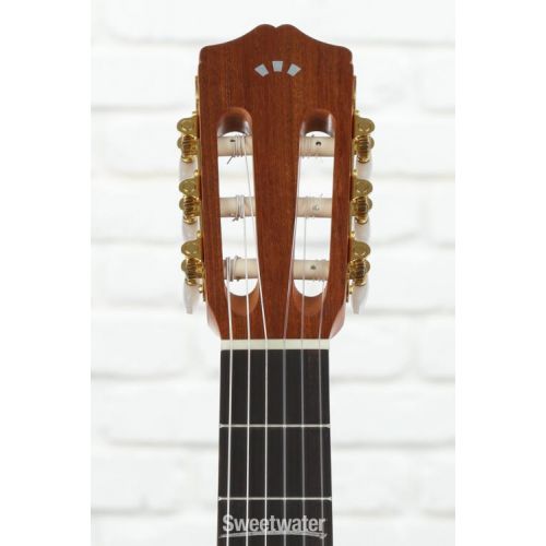  Cordoba Protege C1M-CE Acoustic Guitar - Natural with Cutaway and Electronics