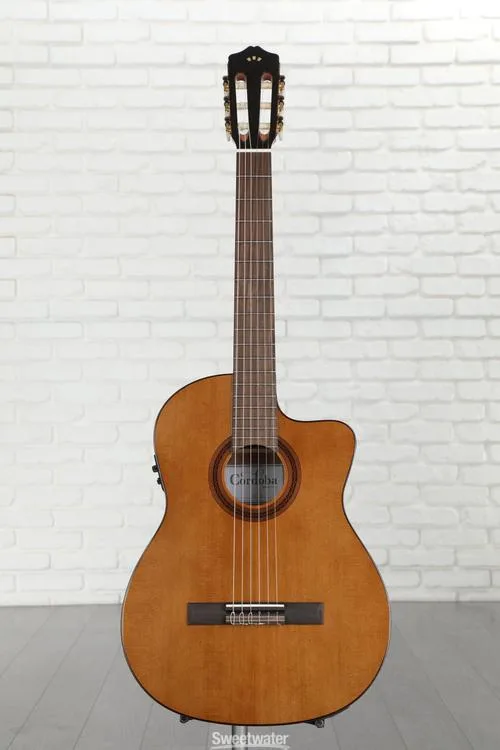  Cordoba C5-CE Nylon String Acoustic-Electric Guitar - Cedar Demo