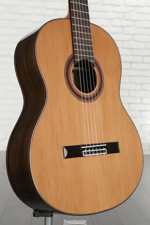 Cordoba C7 Nylon String Acoustic Guitar- Cedar Demo