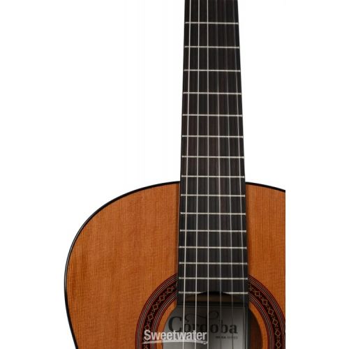  Cordoba Cadete 3/4 size Nylon String Acoustic Guitar - Cedar