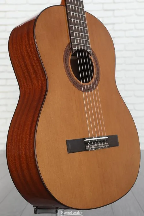 Cordoba C5 Nylon String Acoustic Guitar - Cedar Demo