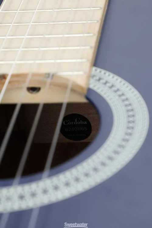  Cordoba Protege C1 Matiz Acoustic Guitar - Classic Blue Demo