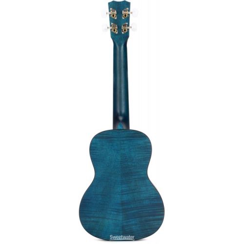  Cordoba 15CFM Concert Ukulele - Sapphire Blue