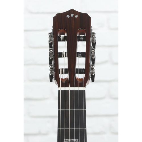  Cordoba Fusion 12 Orchestra CE Nylon String Acoustic Guitar - Cedar Demo