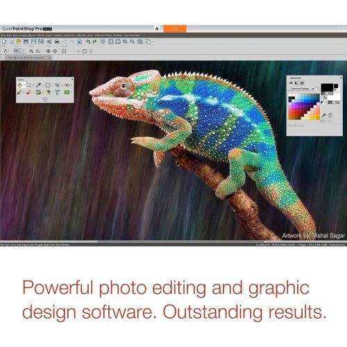  Corel PAINTSHOP PRO 2019 ULTIMATE MINI BOX