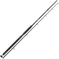 [아마존베스트]Cormoran Big Cat Power Lifter 2.70m 100-400g - Catfish fishing rod