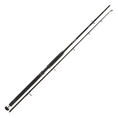  [아마존베스트]Cormoran Big Cat Power Lifter 2.70m 100-400g - Catfish fishing rod