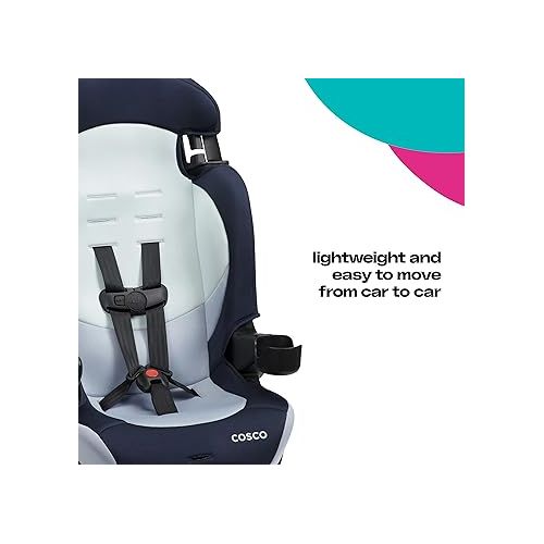  Cosco Finale DX 2-in-1 Booster Car Seat, Forward Facing 40-100 lbs, Rainbow