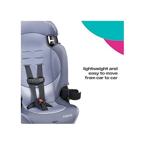  Cosco Finale DX 2-in-1 Booster Car Seat, Extended Use: Forward-Facing, Belt-Positioning Booster in Organic Waves
