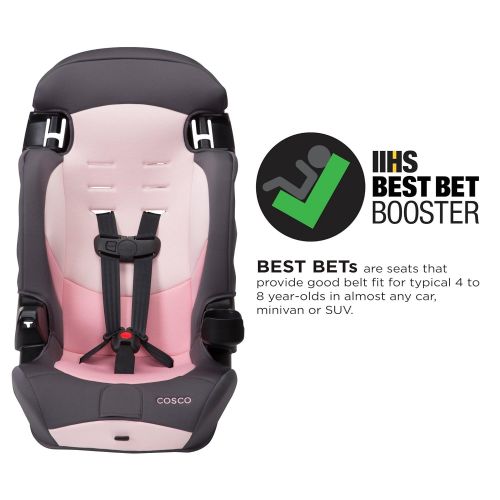  Cosco Finale DX 2-in-1 Combination Booster Car Seat (Dusk)