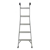 CoscoProducts COSCO 2-in-1 Step and Extension Ladder, Tall Reach, Aluminum