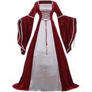 CosplayDiy Womens Fancy Dress Medieval Victorian Lady Costume Dress