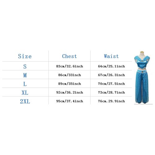  Costume Party Heart Womens Princess Jasmine Costume Belly Dance Dress Anime Lamp Cosplay for Halloween