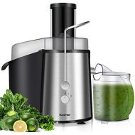 COSTWAY Costway Juice Extractor, 75MM Wide Mouth Stainless Steel Juicer Machines, 2-Speed Setting Masticating Juicer Machine for Fruits And Vegetable with 2L Slag Pot, 1L Juice Jug