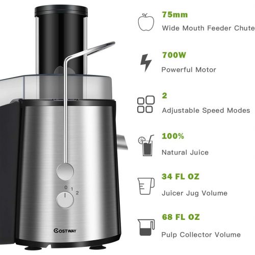 코스트웨이 COSTWAY Costway Juice Extractor, 75MM Wide Mouth Stainless Steel Juicer Machines, 2-Speed Setting Masticating Juicer Machine for Fruits And Vegetable with 2L Slag Pot, 1L Juice Jug