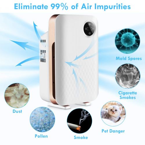 코스트웨이 COSTWAY Air Purifier W/True Activated Carbon Filter Auto Air Quality Monitor Up to 380 Sq/ft Coverage Air Purifier for Large Room, Eliminates Dust, Pets (Purifier)