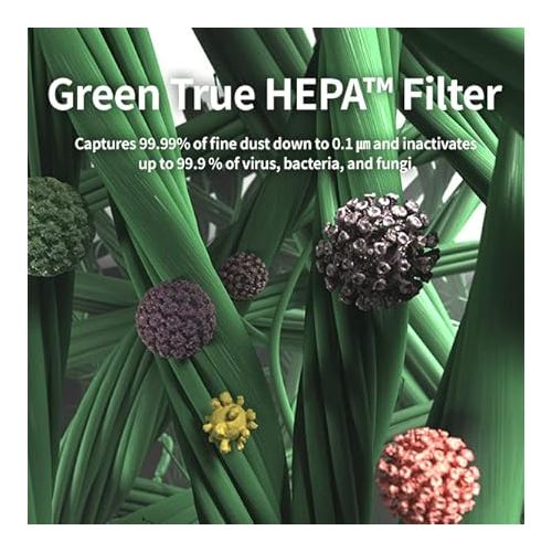  Coway Airmega 250/250S Air Purifier Replacement Filter Set, Max 2 Green True HEPA and Active Carbon Filter, AP-1720-FP