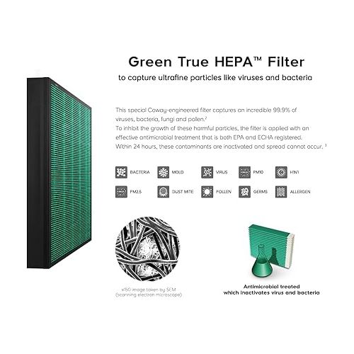  Coway Airmega 150 Air Purifier Replacement Filter Set, Green True HEPA and Active Carbon Filter, AP-1019C-FP