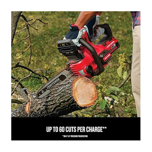  CRAFTSMAN V20* Cordless Chainsaw, 12-Inch (CMCCS620M1)