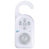 CRAIG CSR1302 Shower Radio with Bluetooth Wireless Technology: Home Audio & Theater