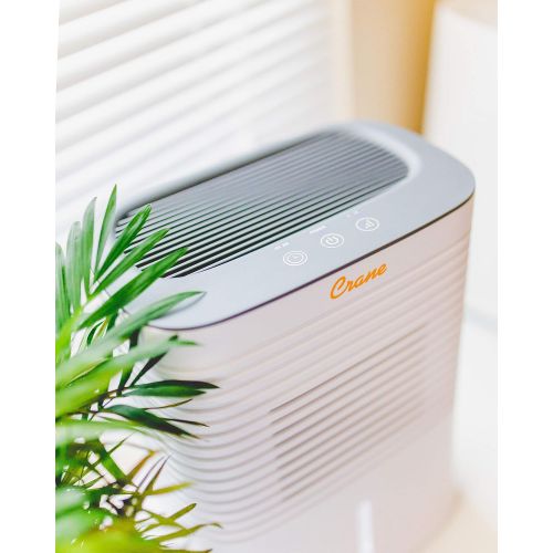  Crane USA Dehumidifier Moisture Removal and Odor Reduction for up to 300 Sq Feet
