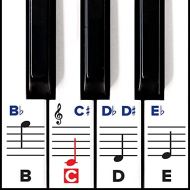 Crbn Piano Stickers for Keys ? Removable w/Double Layer Coating for 49/61 / 76/88 Keyboards