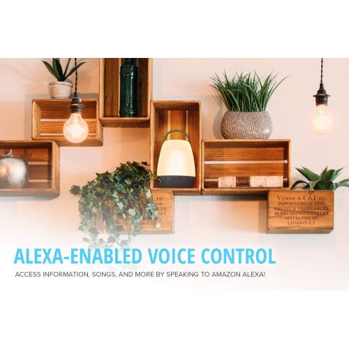  Creative Nova Alexa-Enabled Wi-Fi Multi-Room 5-Driver Portable Smart Speaker with Bluetooth (MF8285)
