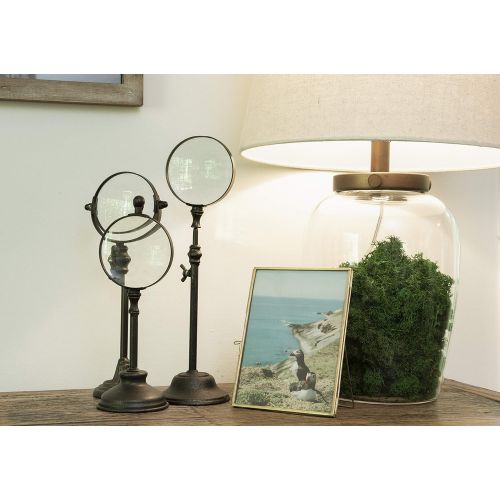  Creative Co-op DA0948 Glass Fillable Table Lamp with Shade