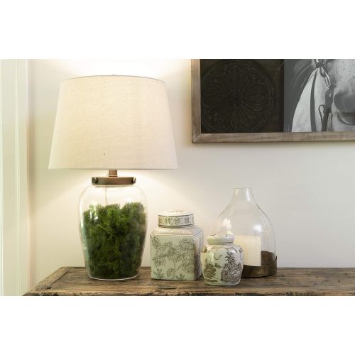  Creative Co-op DA0948 Glass Fillable Table Lamp with Shade