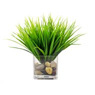 Creative Displays River Grass Cube with Acrylic Water and Stones in a Glass Vessel
