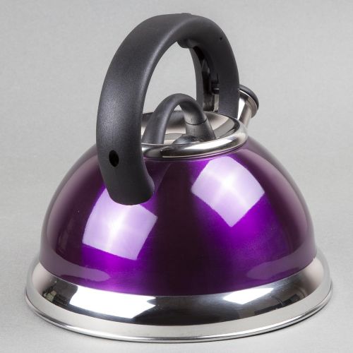  Creative Home Alexa Stainless Steel Whistling Tea Kettle, Purple, 3.0 Quart