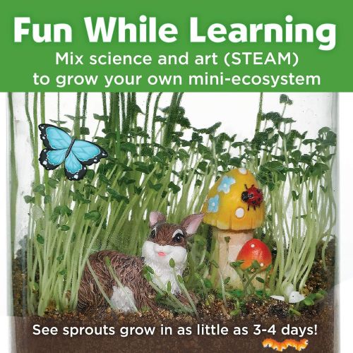  Creativity for Kids Grow n Glow Terrarium - Science Kit for Kids