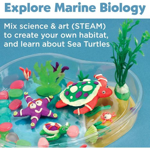  [아마존베스트]Creativity for Kids Create with Clay Turtle Lagoon  Marine Biology Crafts for Kids - Build a Sea Turtle Habitat with Clay, Multi (6238000)