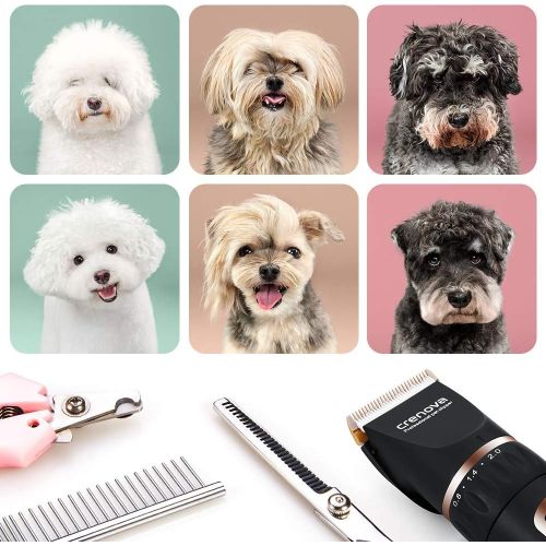  [아마존 핫딜]  [아마존핫딜]Crenova Professional Rechargeable Pet Clipper Dog Grooming Clipper Dog Cat Shaver