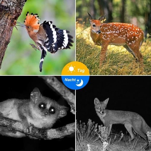  [아마존베스트]Crenova 20MP wildlife camera with 32GB SD card, 47 pcs, 940 nm, IR LEDs 20 m night vision and IP66 waterproof, hunting game camera.