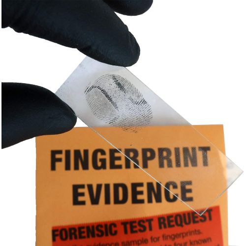  Crime Scene Forensic Science Kit: Solve the Missy Hammond Murder