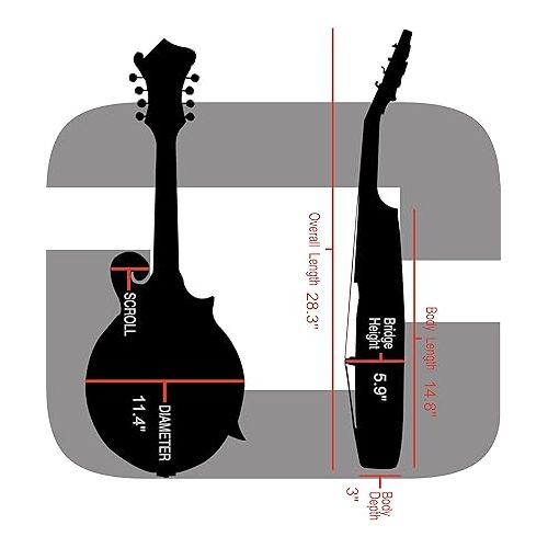  Crossrock Fiberglass Mandolin Case-Fits Both A & F Styles Straps, Accessory Compartment, Fixed & Removable Padding-Includes TSA Lock-White