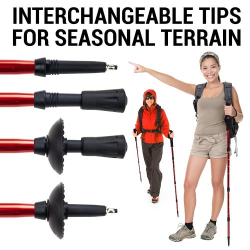  Crown Sporting Goods Shock-Resistant Adjustable Trekking Pole and Hiking Staff