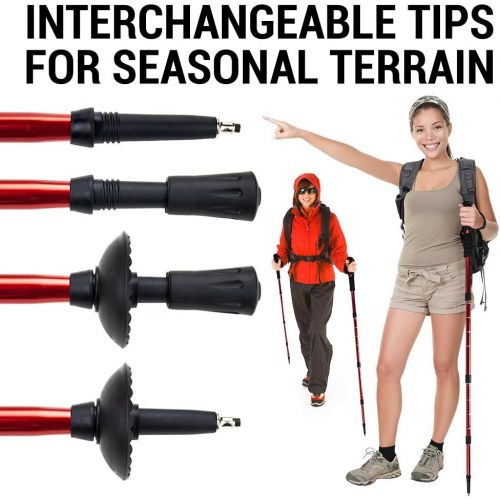  43 Shock-Resistant Adjustable Trekking Pole and Hiking Staff by Crown Sporting Goods