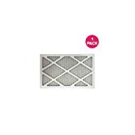 Crucial Allergen Furnace Air Filter (Set of 2)