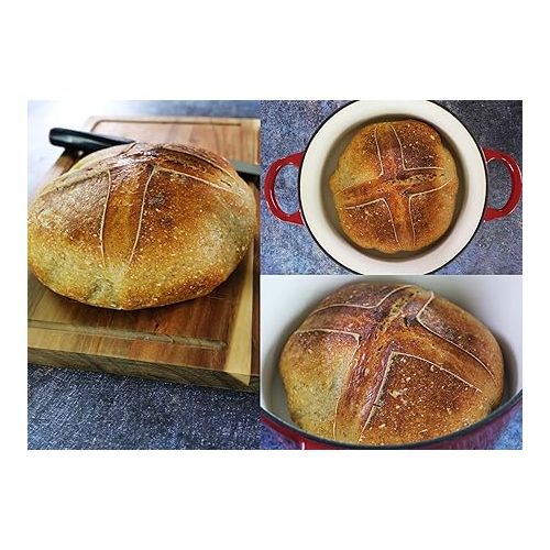  Dutch Oven Enameled Cast Iron Pot - Cocotte with Dual Handle and Cover Casserole Dish - Round Red 10.23