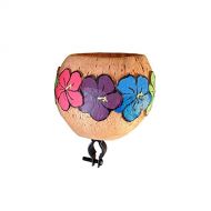 Cruiser Candy Coconut Bicycle Drink Holder